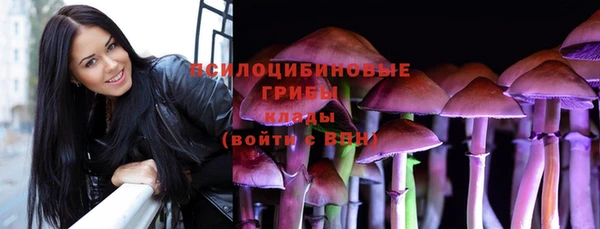 метадон Дмитриев