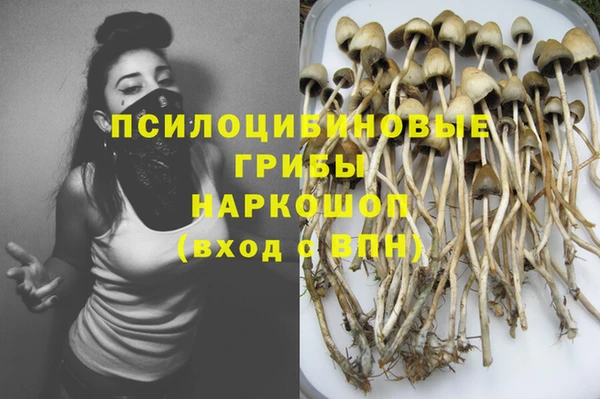 меф Дмитров