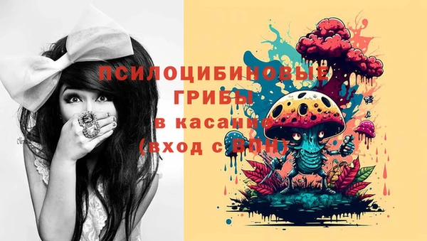 метадон Дмитриев