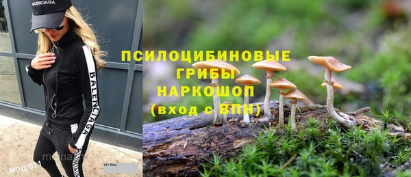метадон Дмитриев