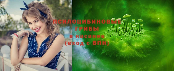 прущий лед Дмитровск